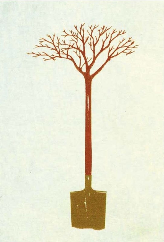 La forêt d’Alexandre