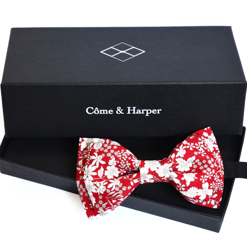 Noeud papillon Harper motif red liberty