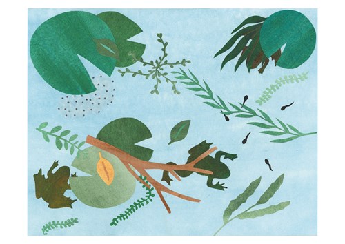 Affiche "Grenouilles" A3