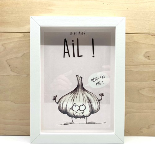 Cadre galet "Le potager : Ail" Blanc