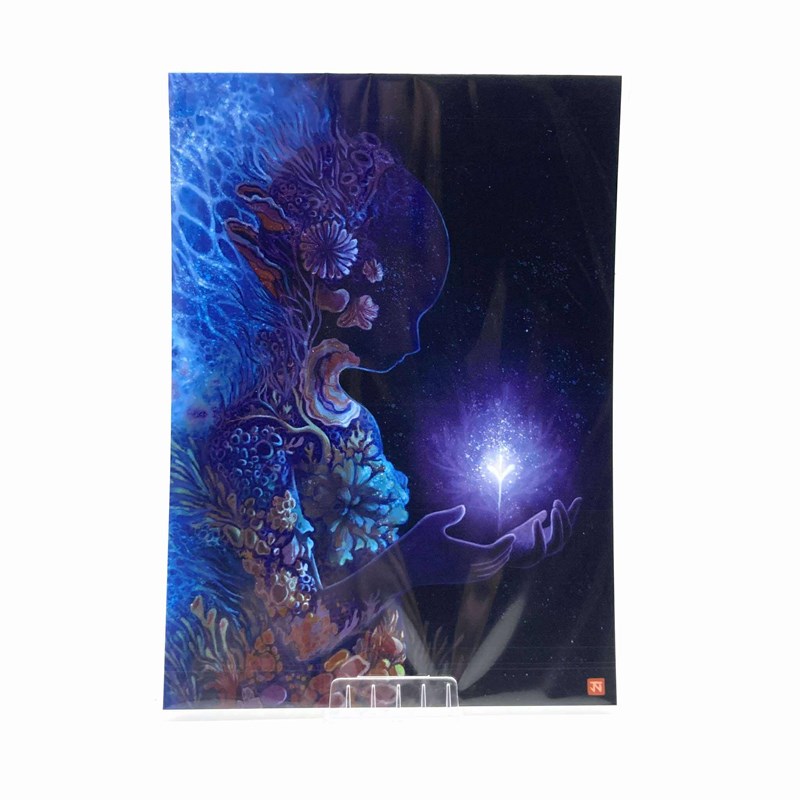 Illustration  13 X 18cm - 14255 -