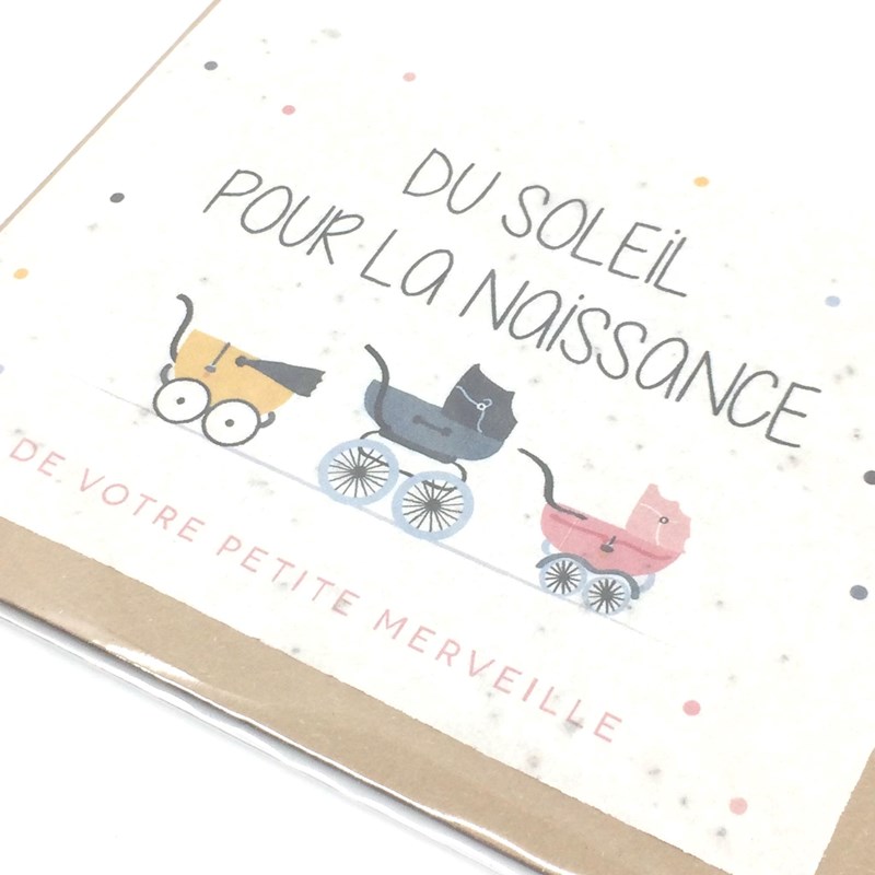 Carte ensemencée "Naissance"