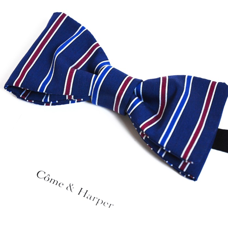 Noeud papillon Spencer motif english spirit