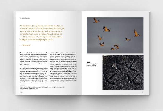 A B C Daire des Fagnes