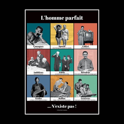 Affiche "L'homme parfait"