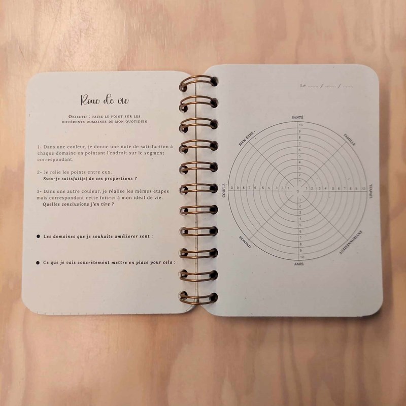 AGENDA 2026 - Bleu/poudré A6