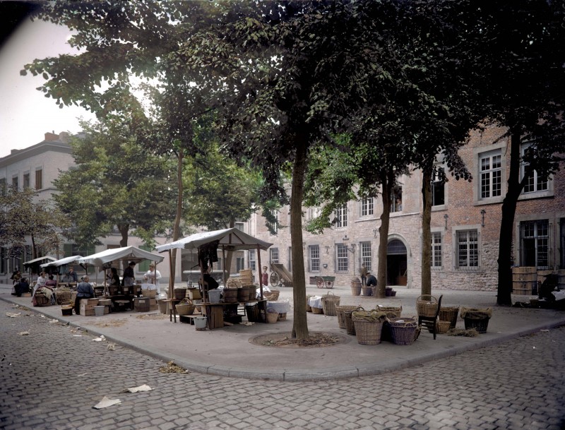 Vues de Liège - 80 photographies d'époque colorisées