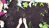 2511_6_repiquage-par-enfants-2.png