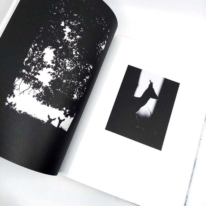 La forêt qui plantait des arbres