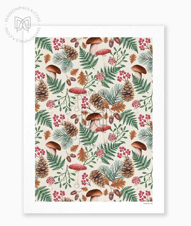 Affiche A3 dessin Forest