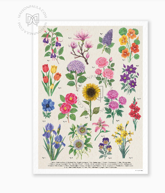 Affiche A3 dessin Les fleurs