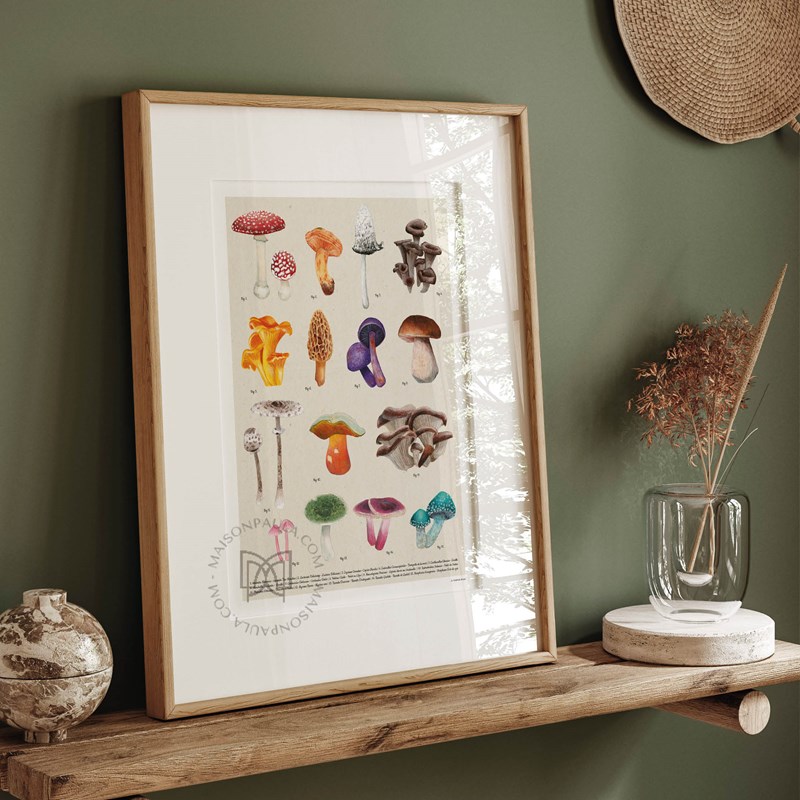 Affiche Les champignons 50*70cm