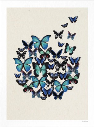Affiche Nuée de papillons