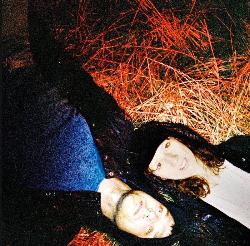 Chaton Laveur "état sauvage"