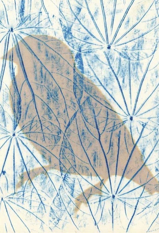 La forêt d’Alexandre