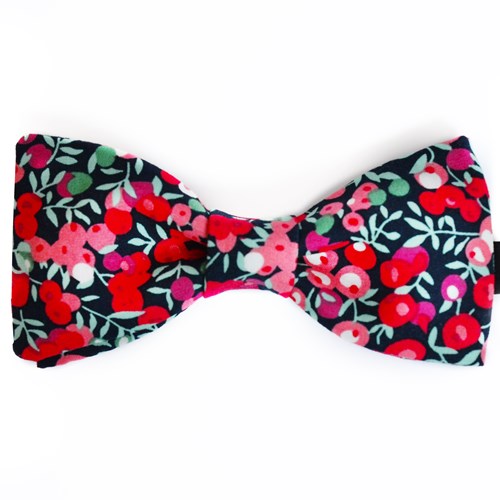 Noeud papillon Basile motif red berries