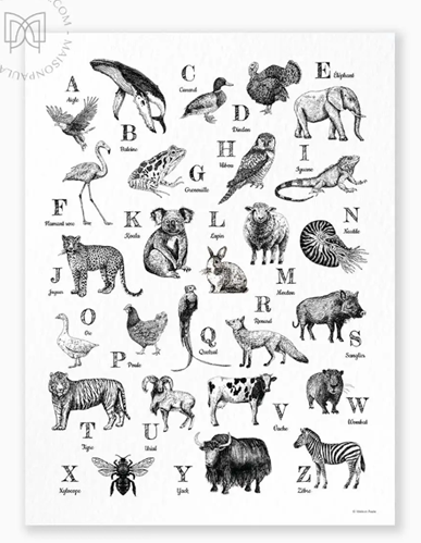 Affiche A3 dessin Abécédaire des animaux