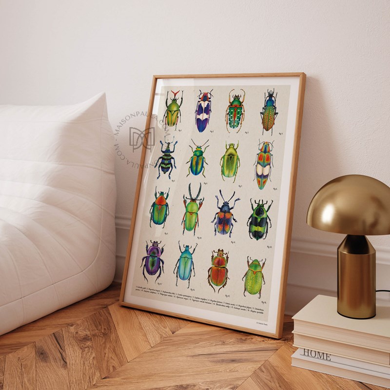 Affiche Les coléoptères