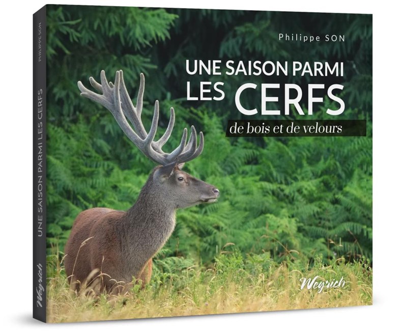 Une saison parmi les cerfs